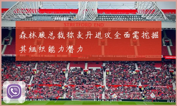 森林狼总裁称麦丹进攻全面需挖掘其组织能力潜力